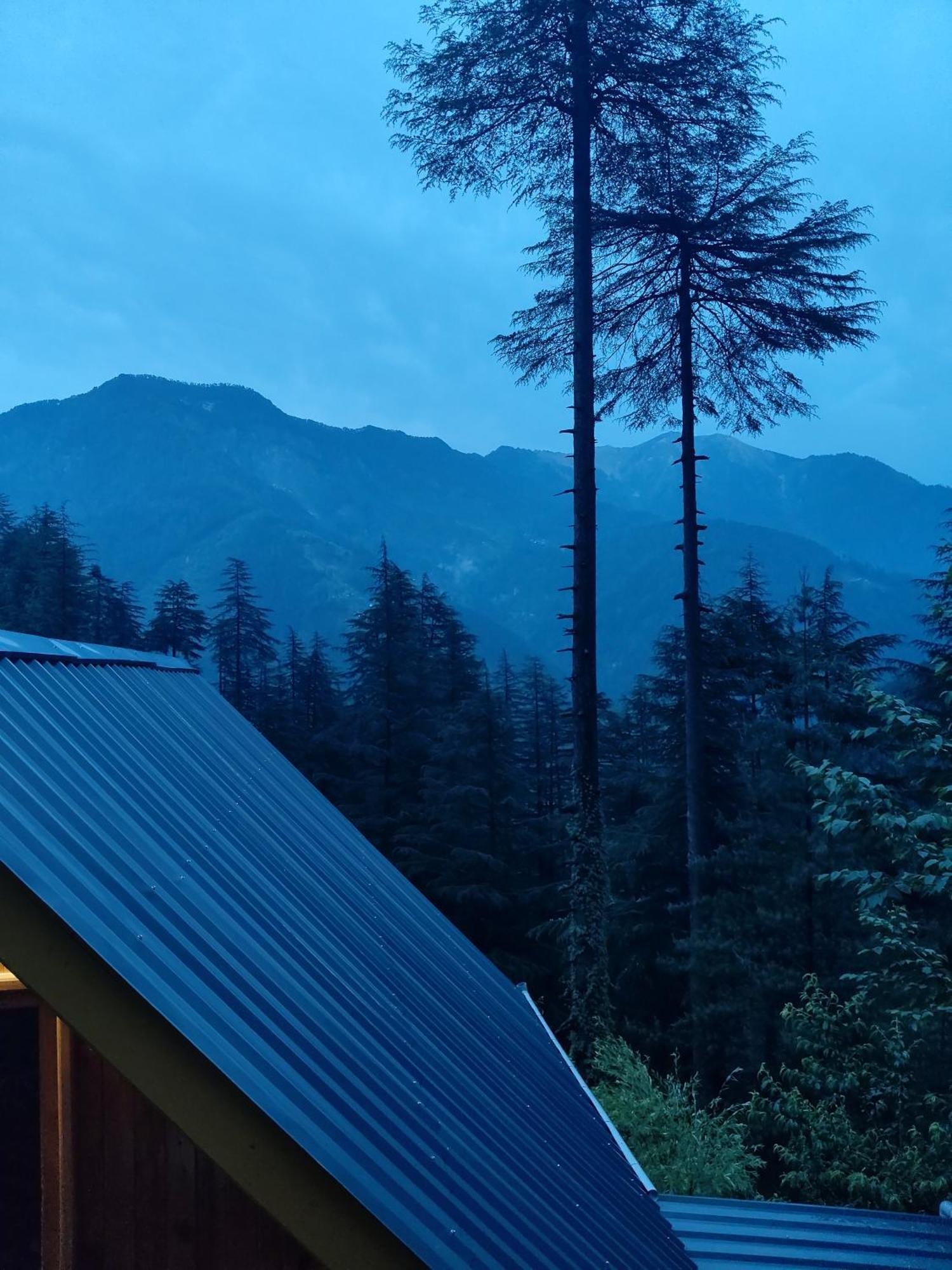 Forest View Cottage Jibhi Exterior foto